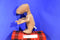 Toy Factory E.T. Extra Terrestrial 2019 Plush