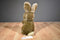 Fiesta America Wego Begging Bunny Plush