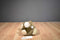 Fiesta America Wego Begging Bunny Plush