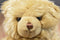 Douglas Tan Teddy Bear Beanbag Plush B98