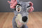 Disney Store Lady and The Tramp Beanbag Plushes