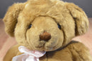 Dakin Susan Breast Cancer Bears For A Cause Beanbag Plush