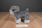 Battat Pucci Pups Schnauzer Plush And Carrier