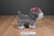 Battat Pucci Pups Schnauzer Plush And Carrier