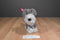 Battat Pucci Pups Schnauzer Plush And Carrier