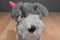 Battat Pucci Pups Schnauzer Plush And Carrier