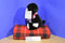 Baby Ganz Licorice Black and White Lamb Plush
