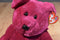 Ty Beanie Buddy Valentina Pink Bear White Heart 2000 Beanbag Plush