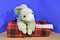 Walmart Pastel Lime Green Bunny Rabbit Easter Plush