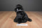 Ty Beanie Buddies and Babies Luke Black Lab Puppies Beanbag Plush