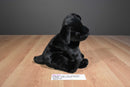Ty Beanie Buddies and Babies Luke Black Lab Puppies Beanbag Plush