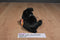 Ty Beanie Buddies and Babies Luke Black Lab Puppies Beanbag Plush