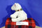 Ty Pluffies Alps Barnes & Nobles Polar Bear 2010 Beanbag Plush