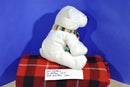Ty Pluffies Alps Barnes & Nobles Polar Bear 2010 Beanbag Plush