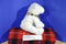 Ty Pluffies Alps Barnes & Nobles Polar Bear 2010 Beanbag Plush