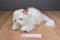Ty Classic Sugar Persian Cat 2002 Beanbag Plush