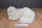Ty Classic Sugar Persian Cat 2002 Beanbag Plush