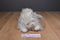 Ty Classic Sugar Persian Cat 2002 Beanbag Plush