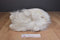 Ty Classic Sugar Persian Cat 2002 Beanbag Plush