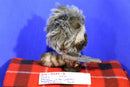 Funko Marvel Guardians of the Galaxy Rocket Raccoon 2014 Plush