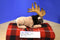 Wildlife Artists Conservation Critters Elk 2014 Beanbag Plush