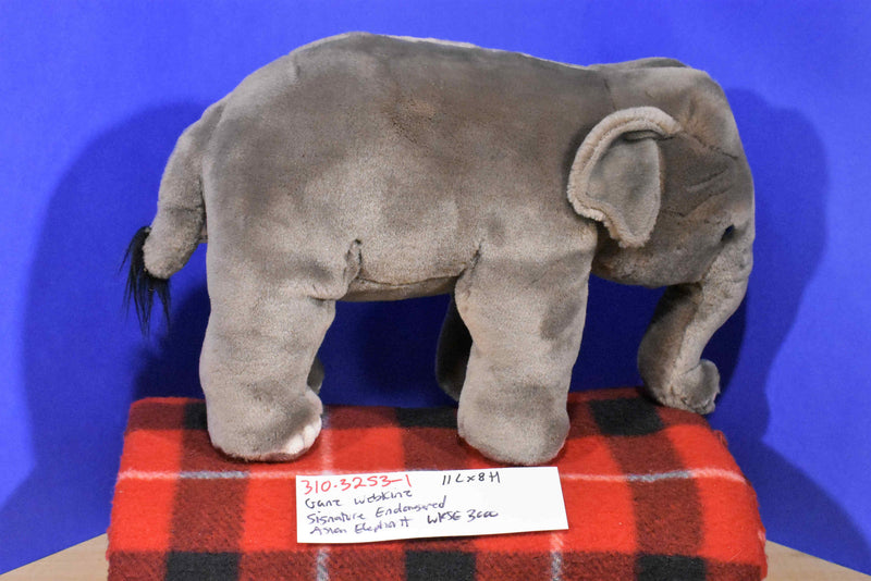 Ganz Webkinz Signature Endangered Asian Elephant WKSE3000 Plush (No Code)