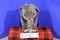 Ganz Webkinz Signature Endangered Asian Elephant WKSE3000 Plush (No Code)