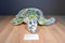Melissa & Doug Green Sea Turtle Plush