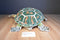 Melissa & Doug Green Sea Turtle Plush