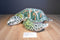 Melissa & Doug Green Sea Turtle Plush