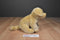 Toys R Us Yellow Lab Puppy Dog 2012 Beanbag Plush