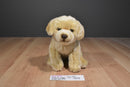 Toys R Us Yellow Lab Puppy Dog 2012 Beanbag Plush