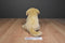 Toys R Us Yellow Lab Puppy Dog 2012 Beanbag Plush