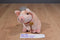 AMI Corp Babe A Little Pig Goes A Long Way 1995 Plush