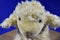 Toys R Us Beige Lamb 2010 Plush