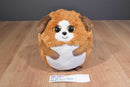 Ty Beanie Ballz Bandit 2011 Beanbag Plush