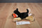 Aurora "Shep" the German Shepherd 2015 Beanbag Plush