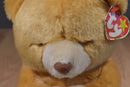 Ty Beanie Buddy 1999 and Baby 1998 Hope Praying Bear Beanbag Plushes