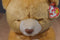 Ty Beanie Buddy 1999 and Baby 1998 Hope Praying Bear Beanbag Plushes
