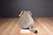 FAO Schwarz Elephant 2013 Beanbag Plush
