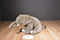 FAO Schwarz Elephant 2013 Beanbag Plush