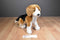Douglas Bernie the Beagle Dog Beanbag Plush