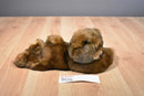 A&A Brown Bear Beanbag Plush