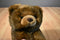 A&A Brown Bear Beanbag Plush