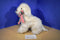 Commonwealth Rabbit Ears Production Gingham Dog and Calico Cat 1990 Plushes