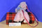 Poochie and Co. Pink Cat Silver Sequins Plush Bag Purse