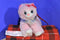 Poochie and Co. Pink Cat Silver Sequins Plush Bag Purse