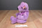 Ty Classic Lilacbeary the Lavender Bear 1999 Beanbag Plush