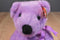 Ty Classic Lilacbeary the Lavender Bear 1999 Beanbag Plush