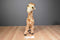 Toys R Us Giraffe 2002 Plush